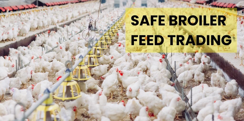 Safe Broiler Feed Trading